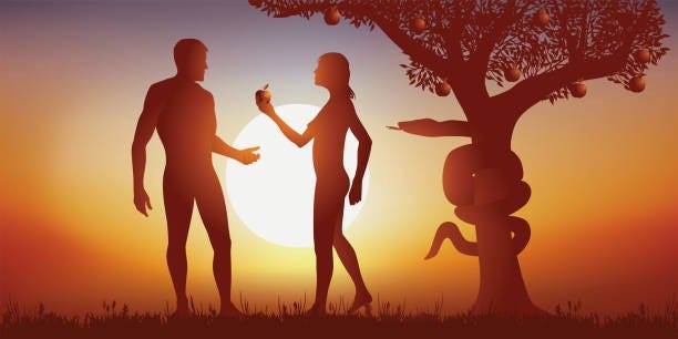 Exploring the Psychology of the Tree of Knowledge: A Deeper Understanding  of Human Nature