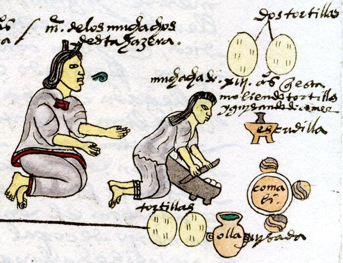Historia de la torilla - Kiosco de la historia Historia de la torilla - Kiosco de la historia
