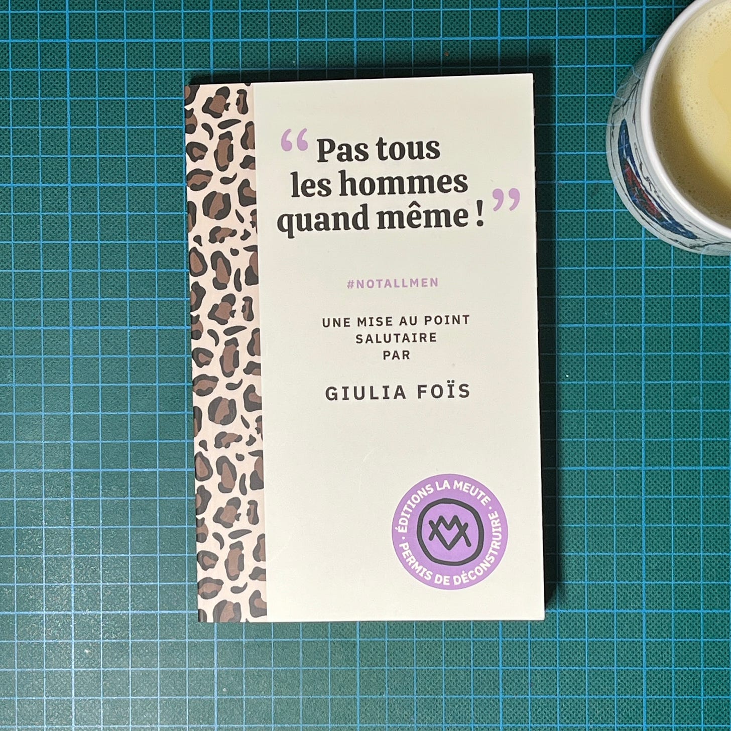 Couverture du livre Pas tous les hommes quand même ! de Giulia Foïs