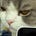 Kiki's avatar