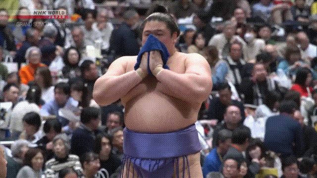 Sumo Stomp! | Tim Bissell | Substack