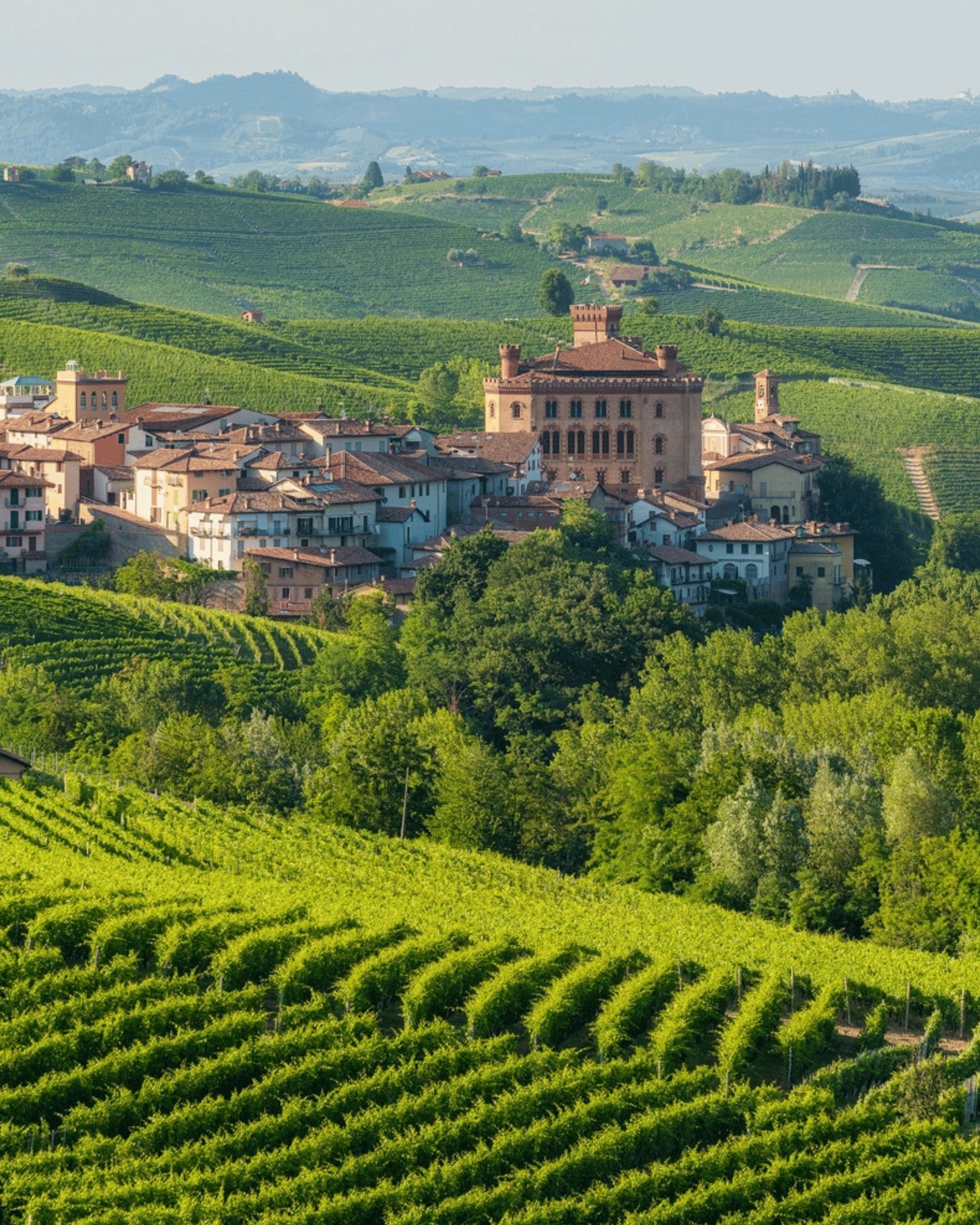 May be an image of the Arno River