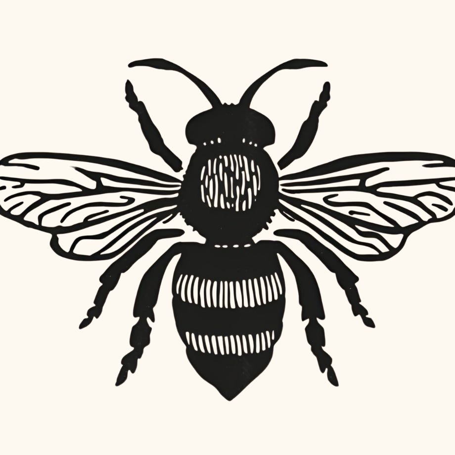 Regenerative Schools