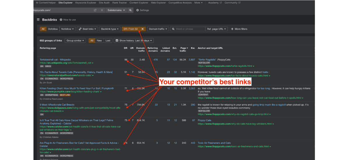 Competitor Backlink Analysis