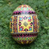 Birb-General’s Substack