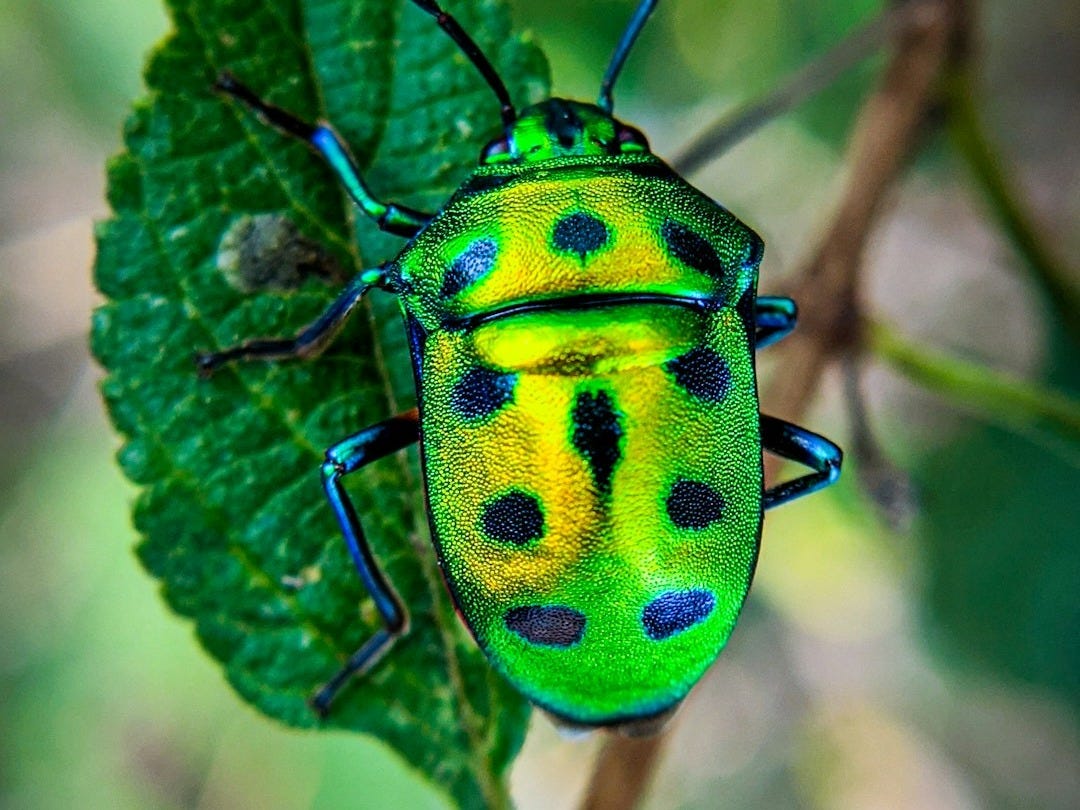 Les 7 Bonnes Nouvelles du Samedi 1er Novembre 2025 Les 7 Bonnes Nouvelles du Samedi 1er Novembre 2025