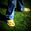 User's avatar