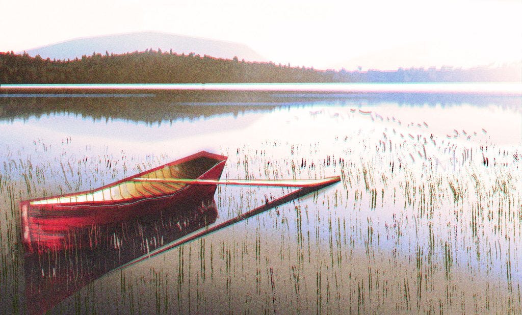 A man and woman walking together in a park during autumn, surrounded by fallen leaves and trees.
