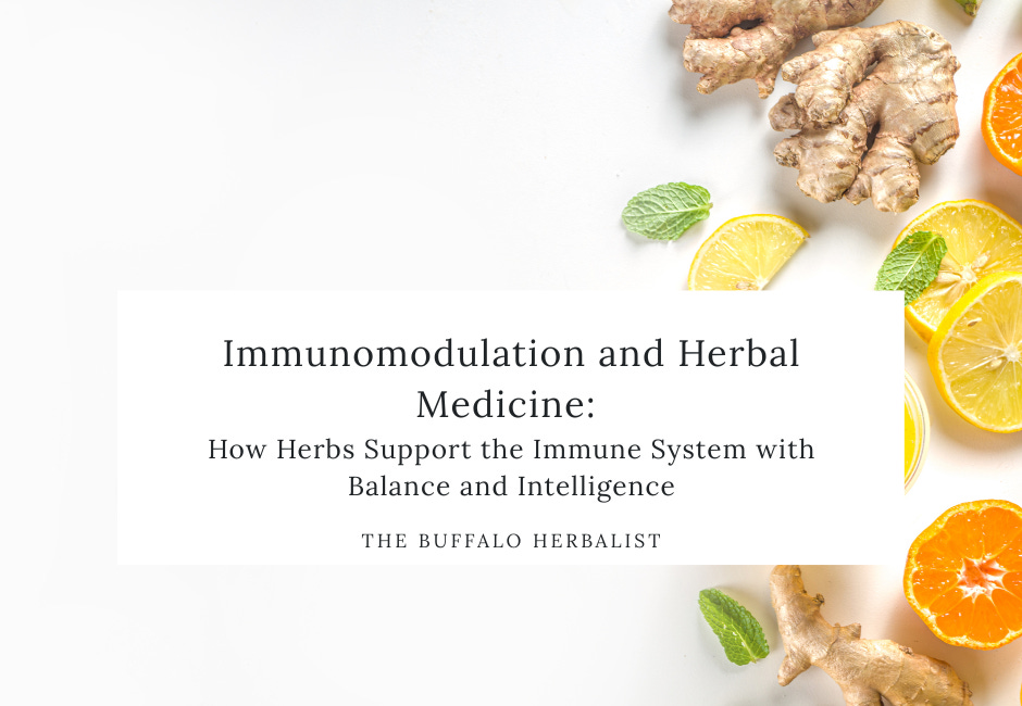 Immunomodulation and Herbal Medicine: How Herbs Support the Immune System with Balance and Intelligence