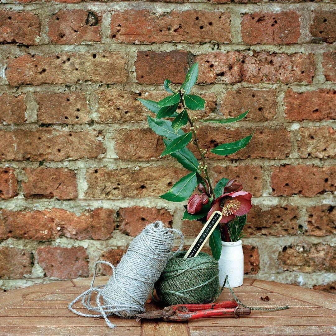 A selection of gardening items and a helebore in a vase sit on a table backed by a brick wall