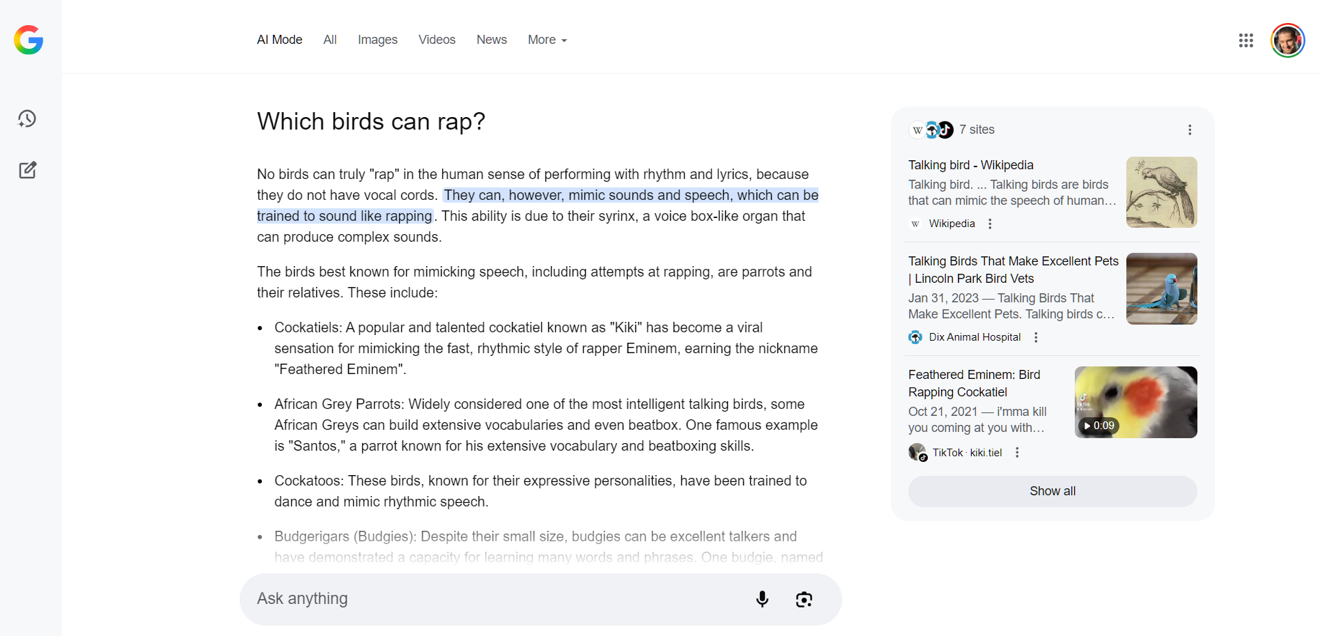 I Checked Out All 35 Google Labs Experiments: Here's The Scoop