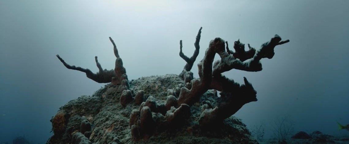 Photo credit (a):  The Ocean’s Breath (2019), Montserrat. Dive Site: Plymouth, an eerie and desolate terrain created by The Soufrière Hills volcano