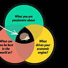 Doing More Is Not a Strategy: The Hedgehog Concept for Leaders