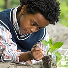 What are constrained and unconstrained skills?