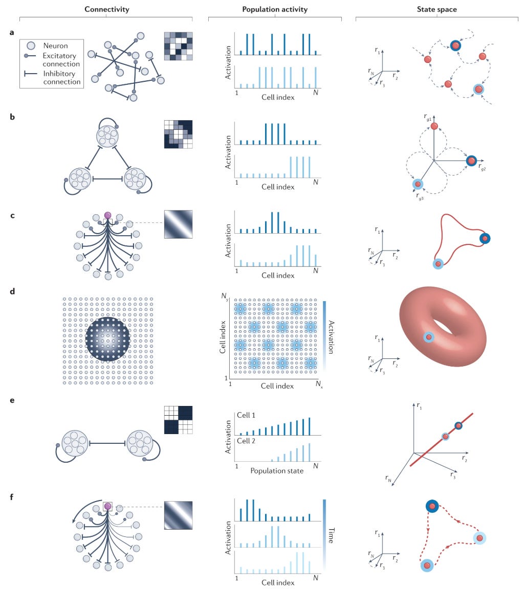 From Khona and Fiete (2022). Connectivity translates to function. From Khona and Fiete (2022). Connectivity translates to function.