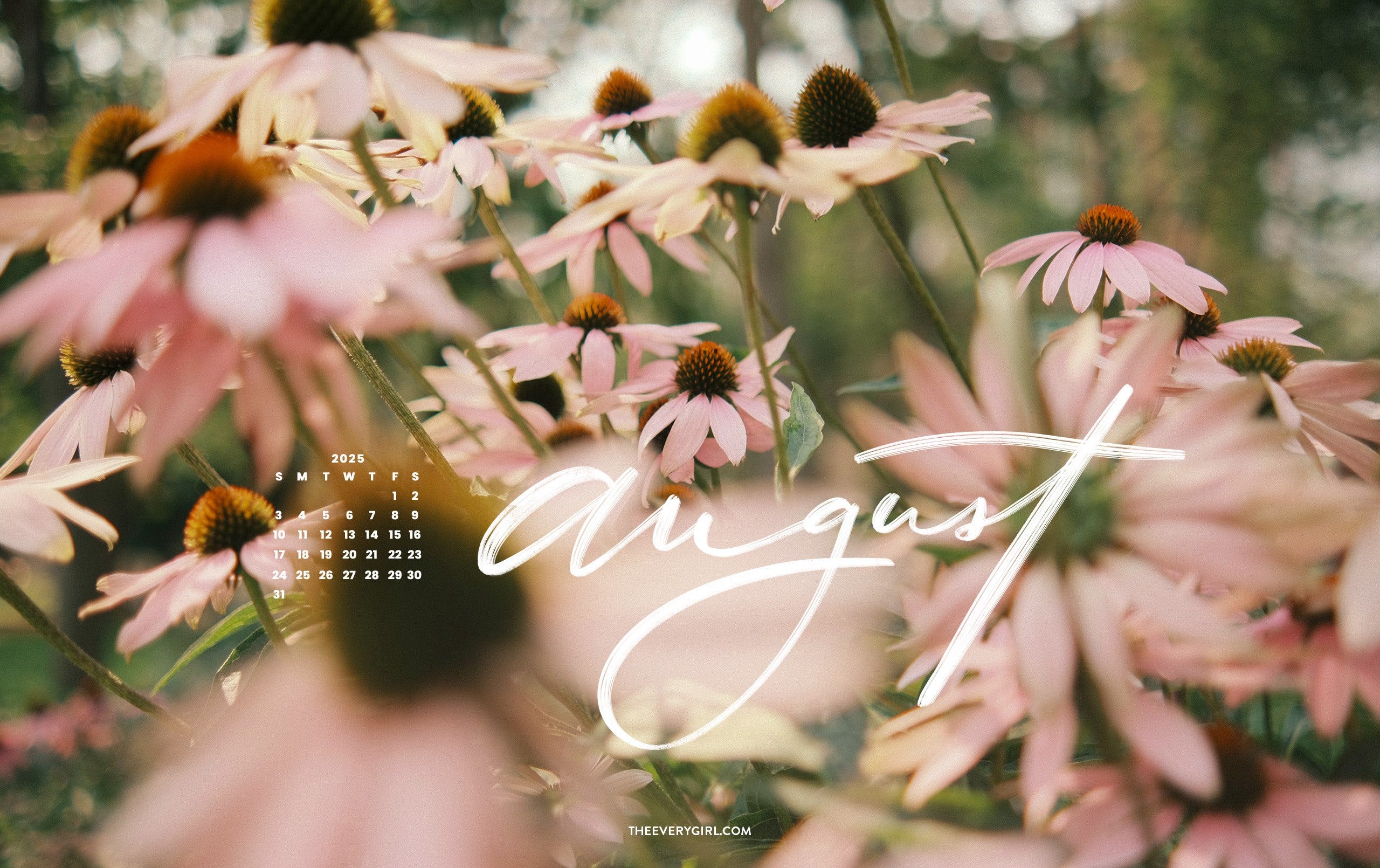 August 2025 Tech Backgrounds: Free, Downloadable Wallpapers!, image size:2560x1610