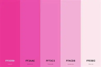 Image result for  pink colour palatte