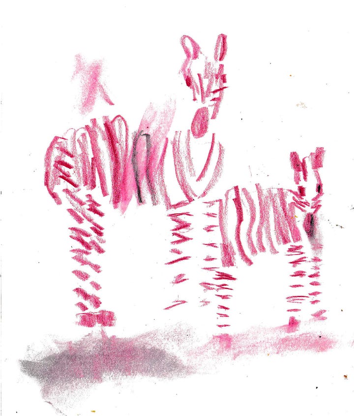 animal drawings by beth spencer