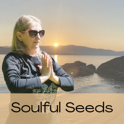 Soulful Seeds logo