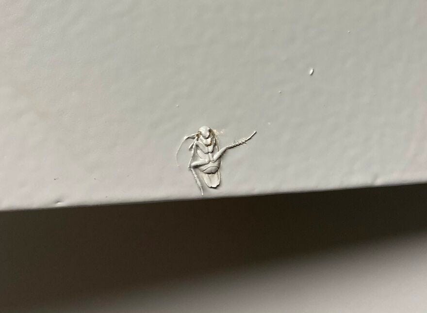 Painting Over A Roach