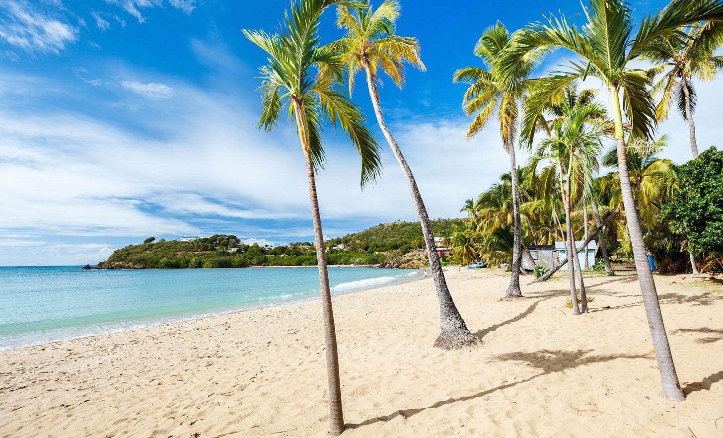 Barbados Beach Day and Turtle Swim Copacabana Carlisle Bay Barbados Beach Day and Turtle Swim Copacabana Carlisle Bay
