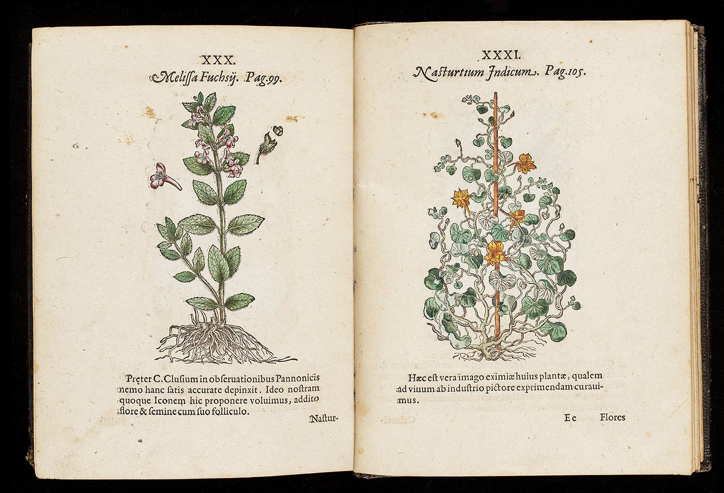 Seeds of Knowledge: Early Modern Illustrated Herbals | The Morgan ...