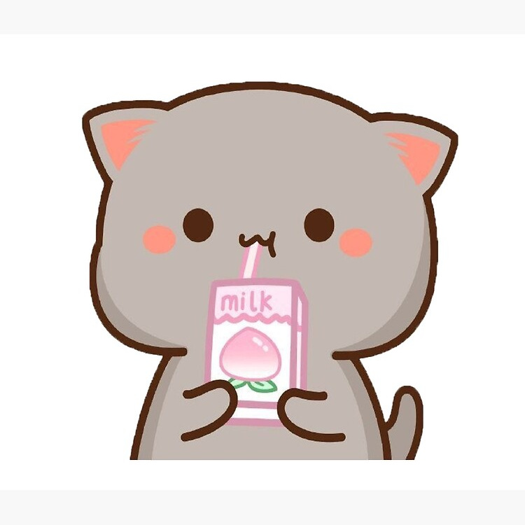 notes from chelsea!! 