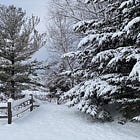 Marlow's Musings 1/14/24
