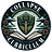 Collapse Curriculum