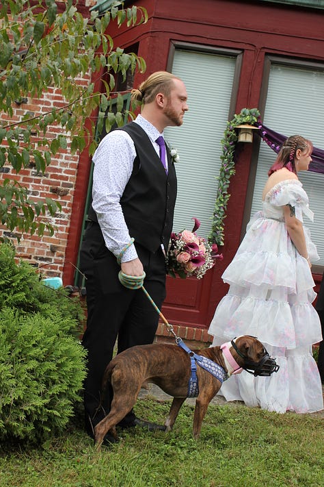 Selected photos from the wedding