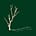 Falling Tree's avatar