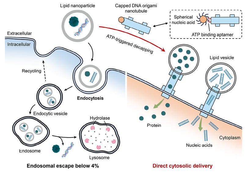 A diagram of a cell

AI-generated content may be incorrect.