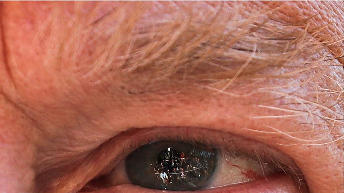 wendy664.substack.com