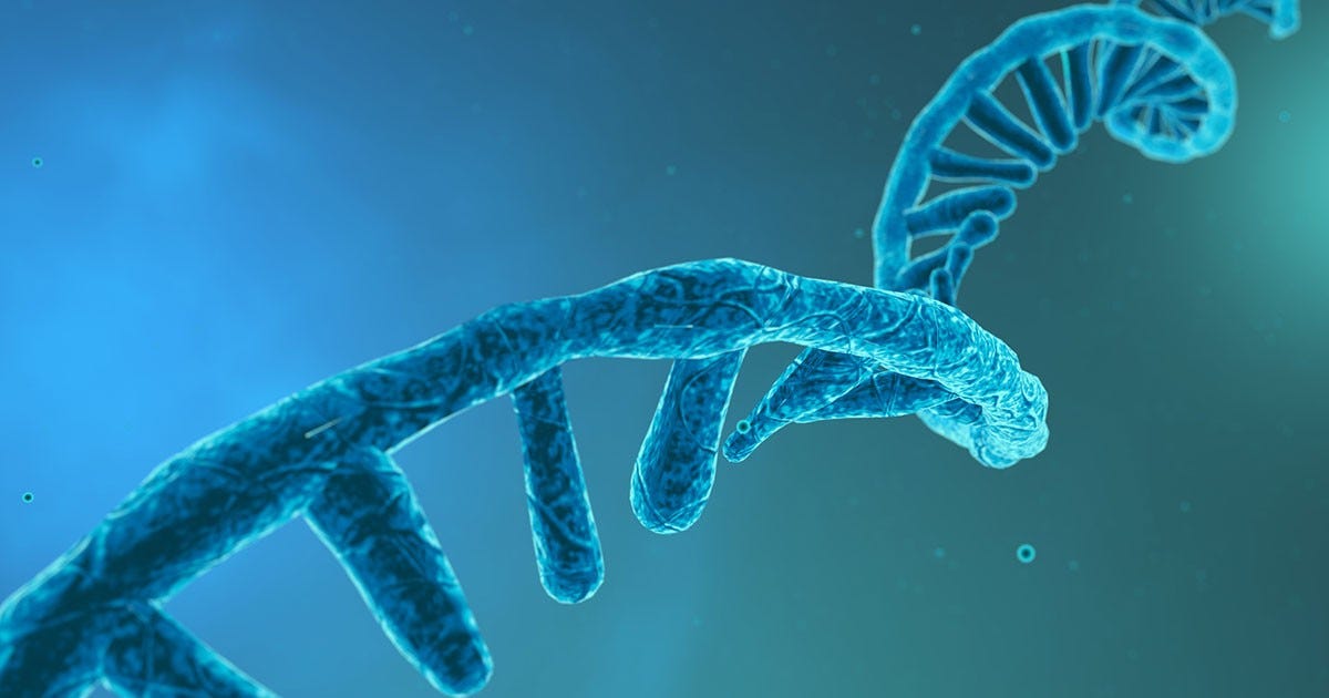 New sequencing techniques unlock modifications that make mRNA vaccines so  effective | Biological Sciences Division | The University of Chicago New sequencing techniques unlock modifications that make mRNA vaccines so  effective | Biological Sciences Division | The University of Chicago