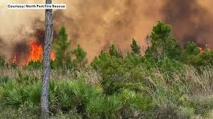 Lightning-Sparked Wildfire Burns 134 Acres Near Myakka City Before Full Containment