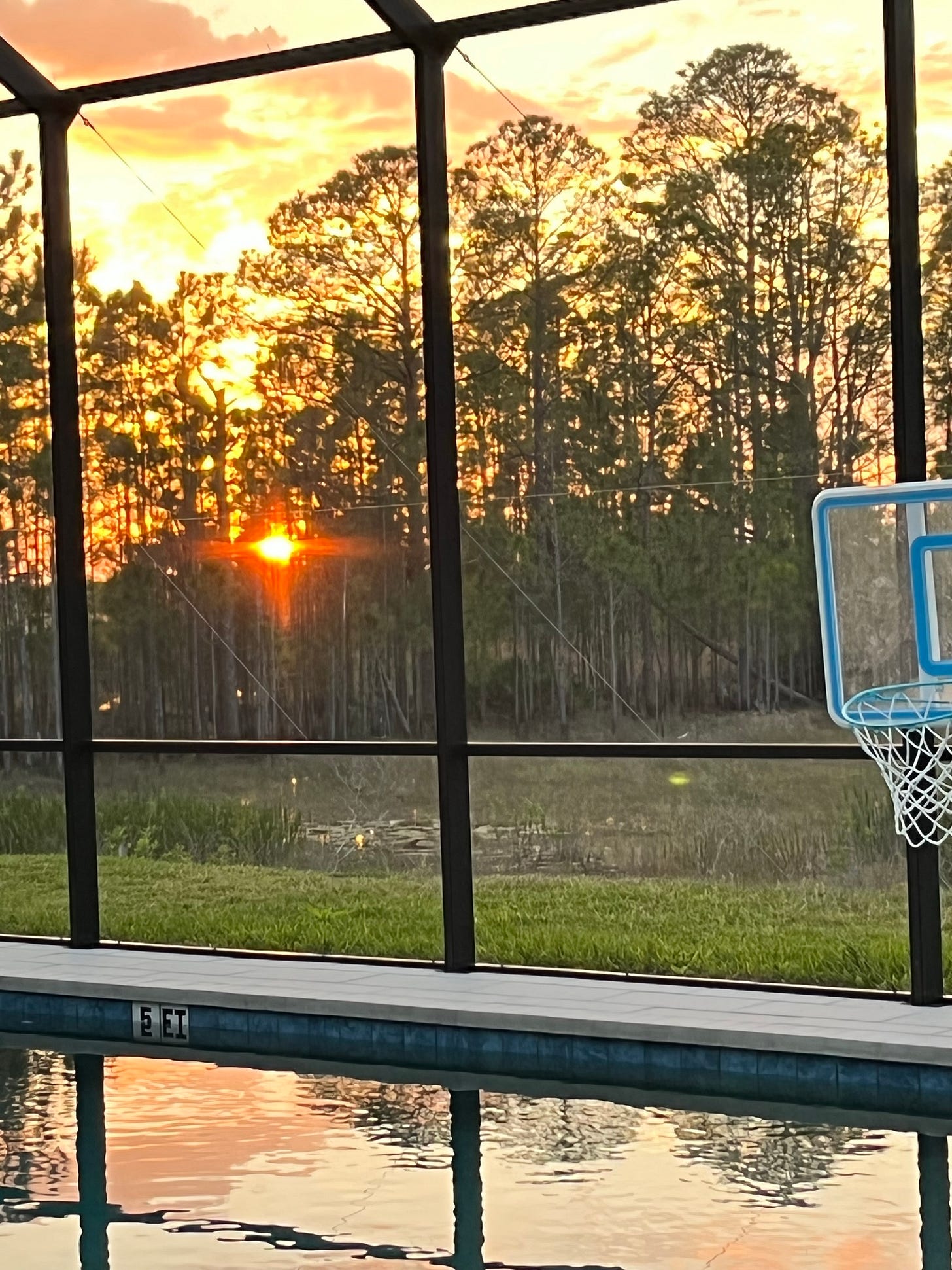 The sun setting through trees beyond a porch screen.