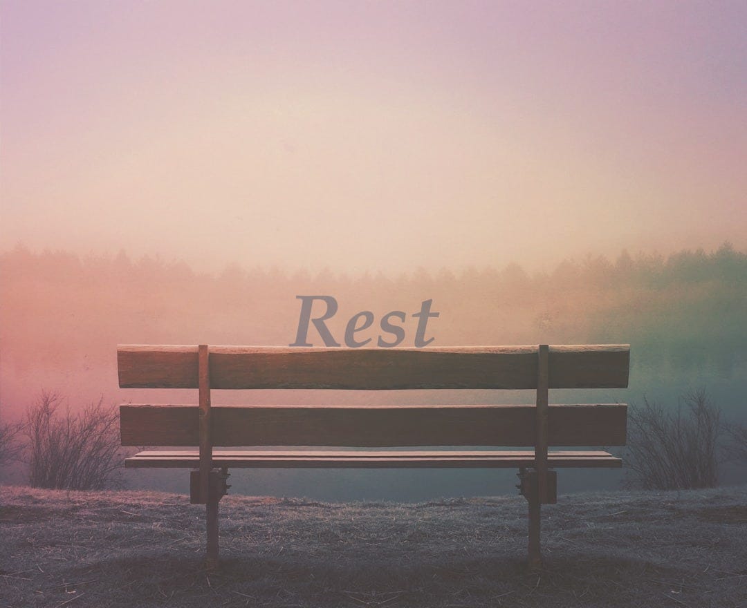 brown wooden bench in field