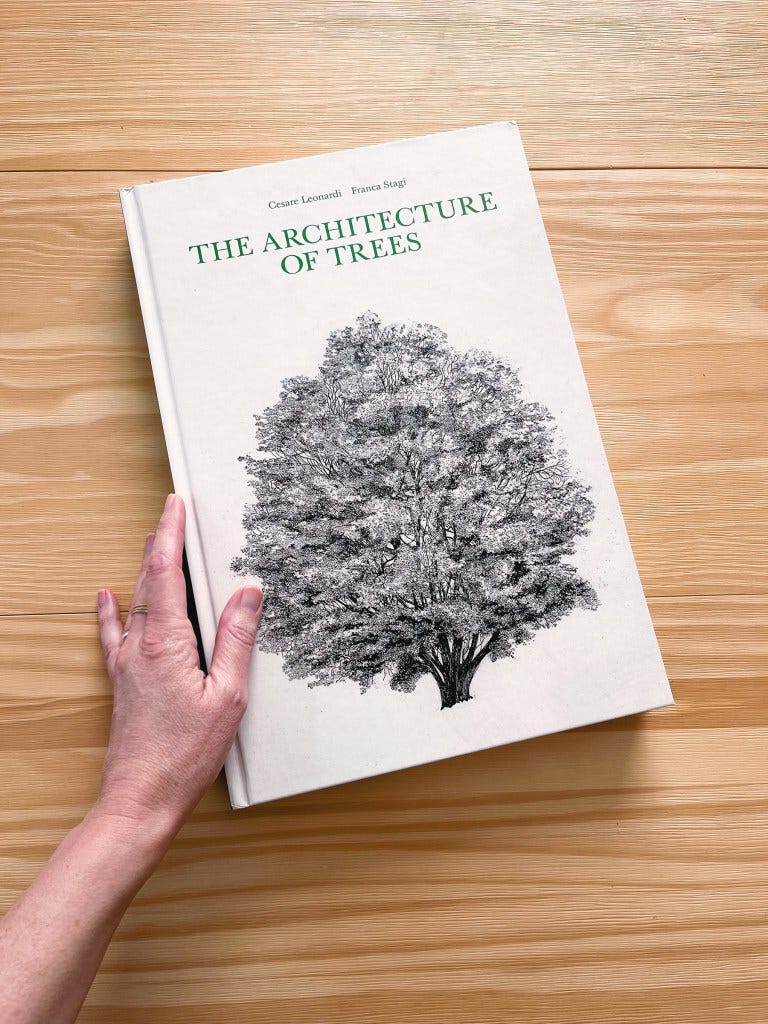The Architecture of Trees book cover The Architecture of Trees book cover