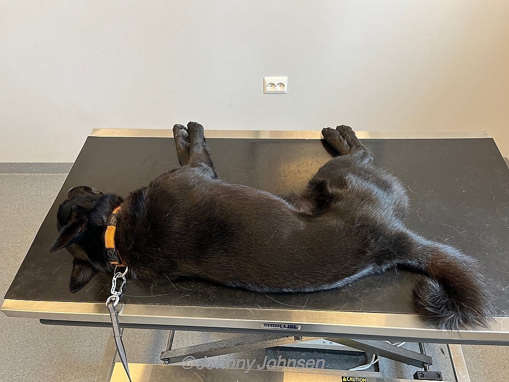 Dette bildet mangler alt-tekst; dets filnavn er king-kenny-pay-kontroll-Aq2BEWzkOeu2779p.jpg Dette bildet mangler alt-tekst; dets filnavn er king-kenny-pay-kontroll-Aq2BEWzkOeu2779p.jpg