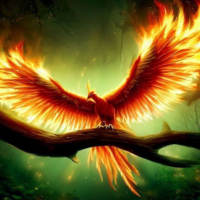 Phoenix Phoenix