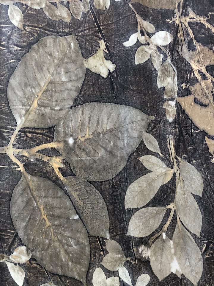 Eco-printed textile close-up showing circular botanical imprint detail.