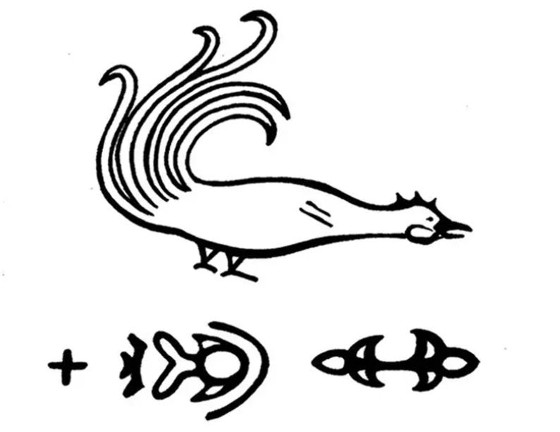 Line drawing, rooster and little decorative designs