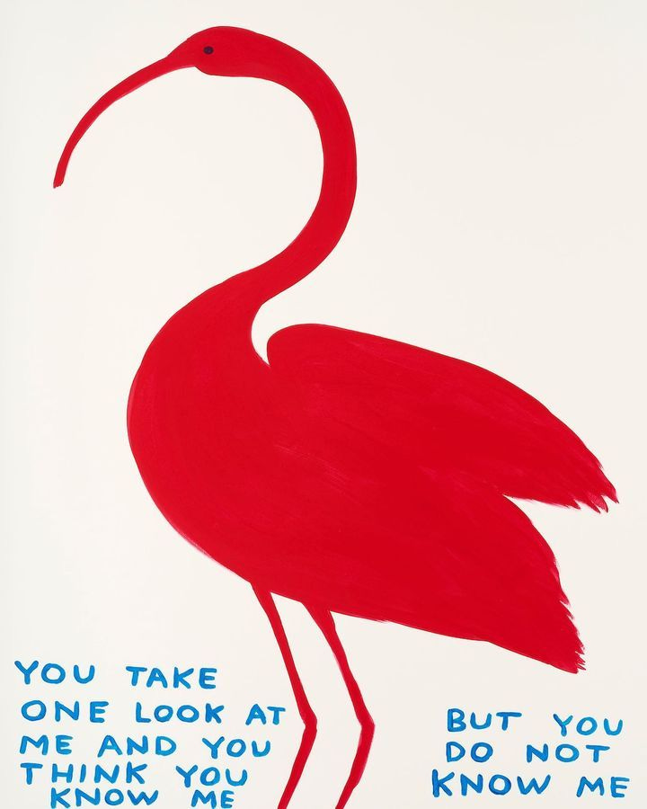 This may contain: a red flamingo standing in front of a white background with the words you take one look at, but you don't know what to know me