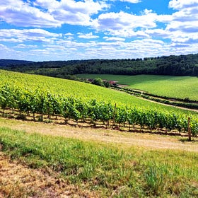 The Directory - English Sparkling Wine