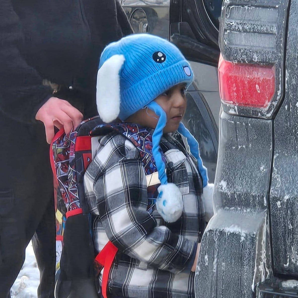 ICE detains five-year-old Minnesota boy arriving home, say school officials  | Minnesota | The Guardian