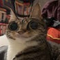 Robert's avatar
