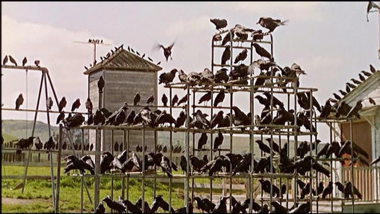 10 Thoughts on Alfred Hitchcock's 'The Birds'