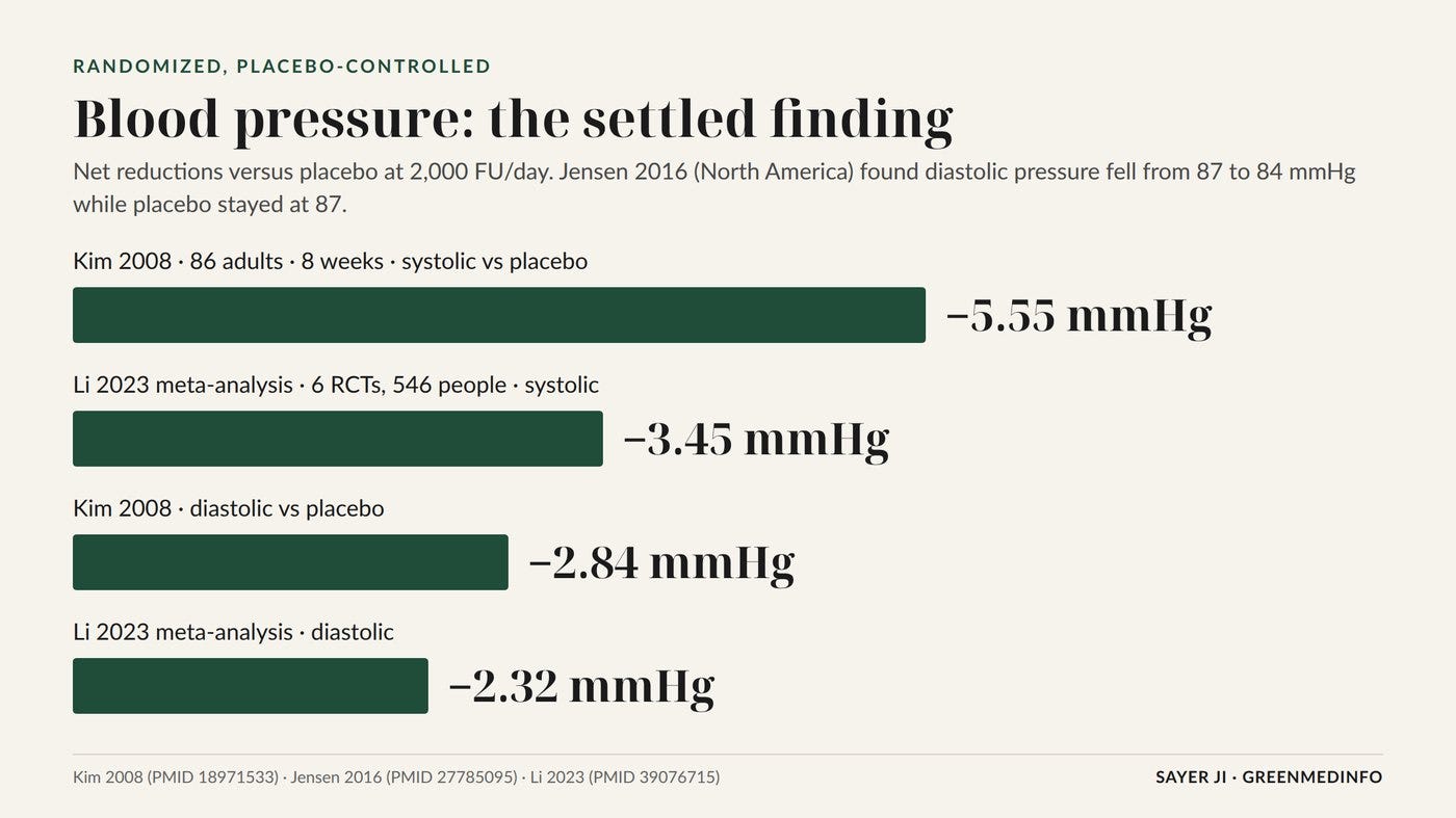 Net blood-pressure reductions versus placebo in randomized trials and the 2023 meta-analysis.