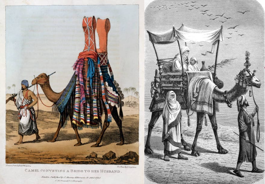 The Camel in African History: Ancient Ships of the Sahara