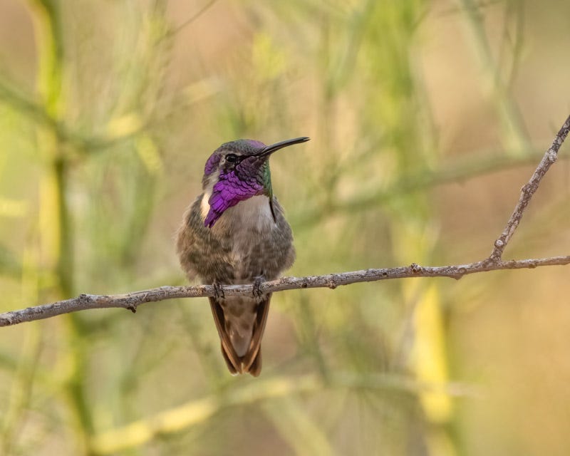 20250720-mby-27-Edit.jpg 20250720-mby-27-Edit.jpg